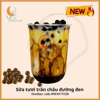 Hình ảnh Sữa Tưoi Trân Chôu Đường Đen