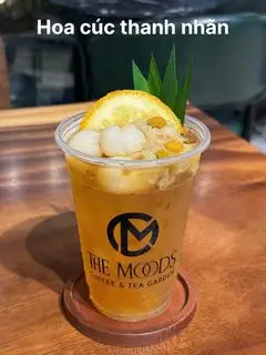 Hình ảnh Trà hoa cúc thanh nhãn