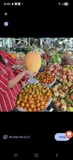 Hình ảnh dưa lưới Huỳnh long 