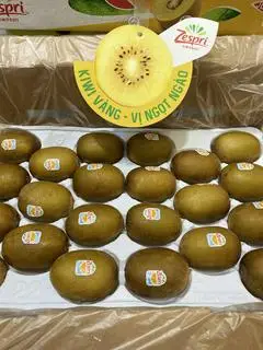 Hình ảnh Kiwi vàng Newzeland-kg