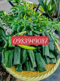 Hình ảnh bánh lọc sống 10 cái