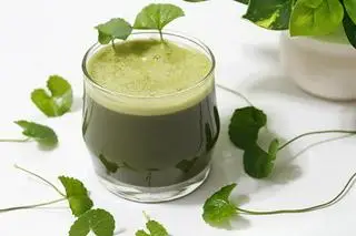 Hình ảnh Rau má - Ly lớn