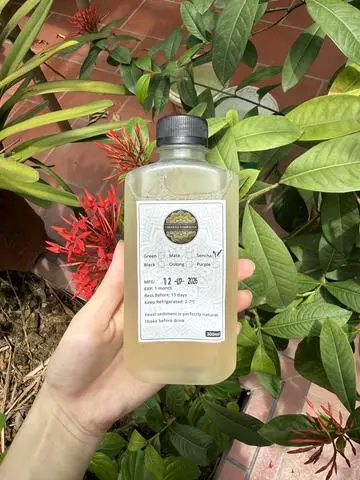 Hình ảnh Kombucha trà Nhật - 300ml
