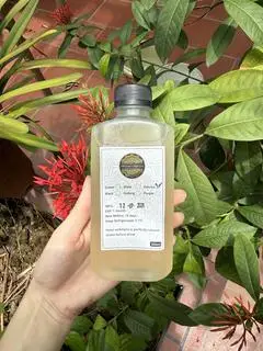 Hình ảnh Kombucha trà Nhật - 300ml
