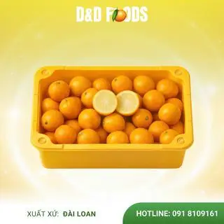 Hình ảnh KIM QUẤT ĐÀI LOAN