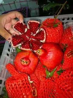 Hình ảnh 1kg lựu đỏ