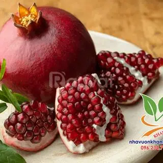 Hình ảnh 1kg lựu đỏ 