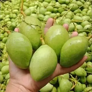 Hình ảnh XOÀI NON (nguyên trái 1KG)