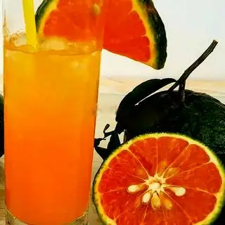 Hình ảnh Cam Vắt -Ly Lớn