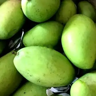 Hình ảnh Xoài xanh to nguyên vỏ
