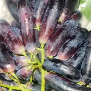 Hình ảnh 350Gr Nho móng tay 