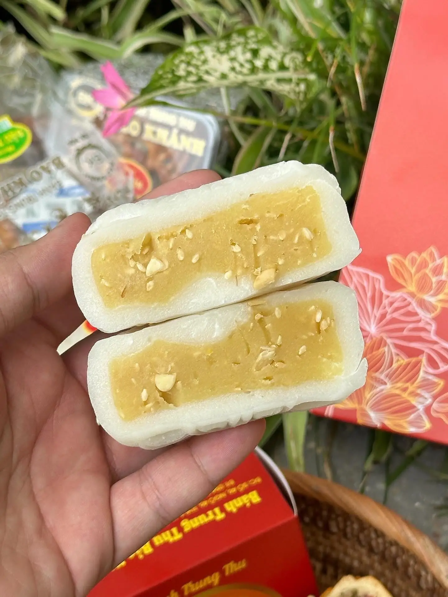 Hình ảnh Bánh Dẻo Đậu Xanh Hạt Dưa