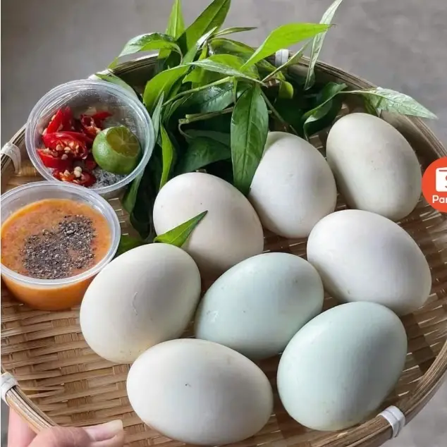Hình ảnh trứng vịt lộn 10 quả 