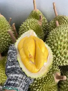 Hình ảnh Cơm Sầu Riêng ( 0,5 kg )