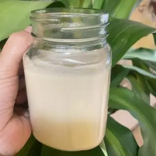 Hình ảnh sữa đậu nành 