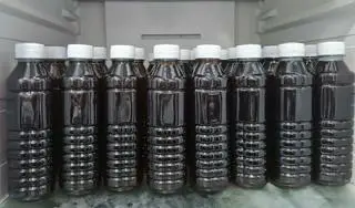 Hình ảnh Sâm Lạnh