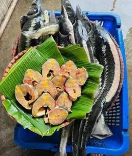 Hình ảnh Đĩa cá tầm tươi