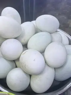 Hình ảnh Trứng vịt muối 
