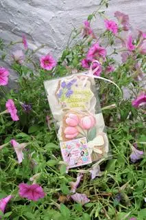 Hình ảnh CK06 - Tulip Gift Set 