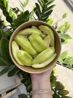 Hình ảnh Cóc Cày 