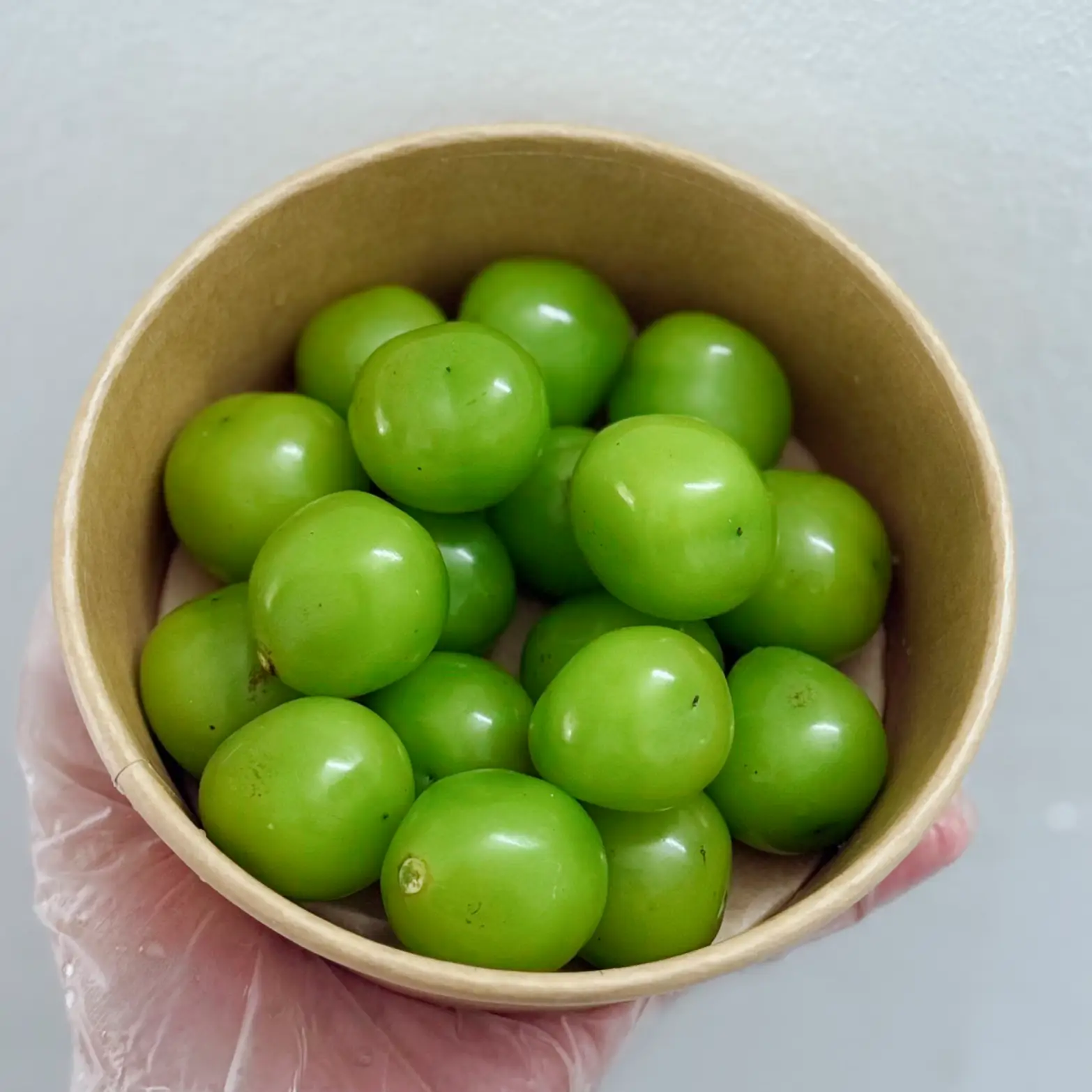 Hình ảnh Nho
