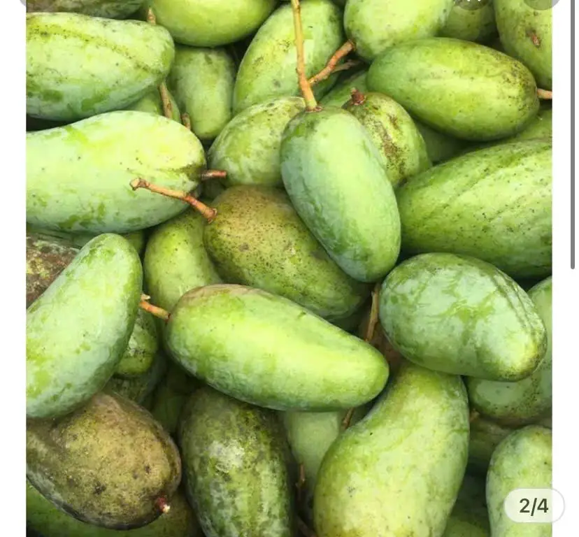 Hình ảnh Xoài đài loan trái nhỏ ( 500gr )