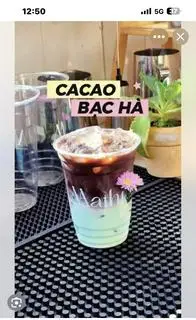 Hình ảnh Cacao Bạc Hà