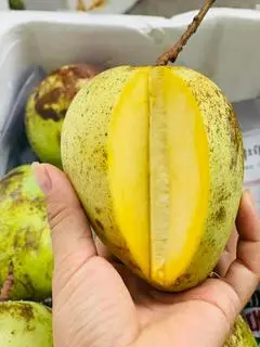 Hình ảnh xoài tứ quý + muối tôm Tây Ninh 