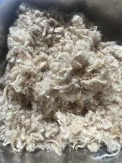 Hình ảnh Chà bông heo 100gr 