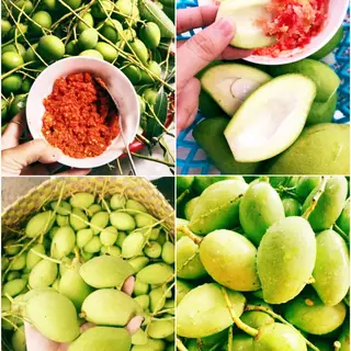 Hình ảnh Xoài non