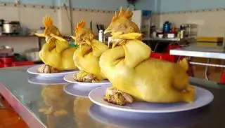 Hình ảnh Gà cúng chéo cánh con to ( gà trống) <2kg trở lên 