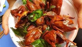 Hình ảnh Chim quay móc mật (3 con)