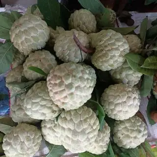 Hình ảnh na đồng bành size lớn(500g)