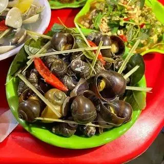 Hình ảnh ốc lẫn