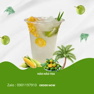 Hình ảnh Dừa Bắp  Hoàng Kim