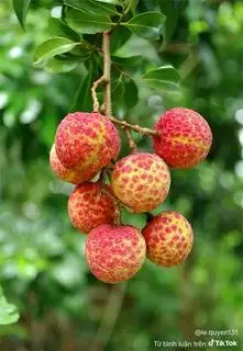 Hình ảnh không 9 ba 5 tám 7 1 hai tám hai