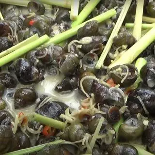 Hình ảnh Ốc vặn xào dừa
