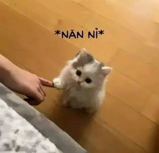 Hình ảnh Khách iu chờ tiệm xíu nhen