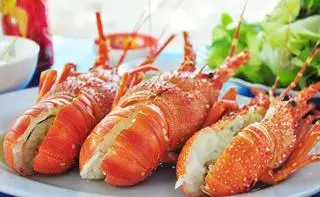 Hình ảnh Tôm hùm hấp 1 con 500gr-600gr