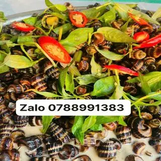 Hình ảnh Ốc len xào dừa