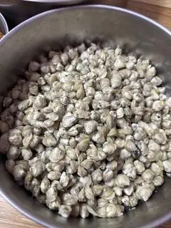 Hình ảnh hến