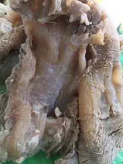 Hình ảnh Chén Gân Thêm