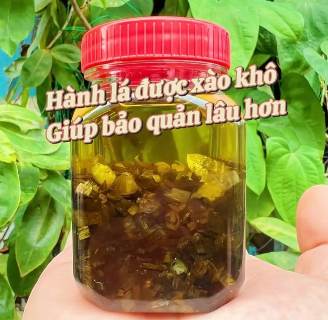 Hình ảnh HŨ MỠ HÀNH 100g