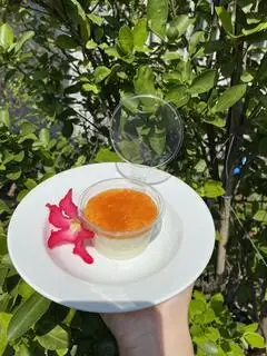 Hình ảnh Panna cotta vị đào