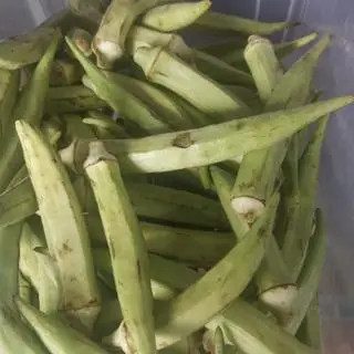 Hình ảnh Đậu bắp nướng 