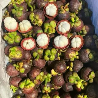 Hình ảnh 1kg măng cụt thái