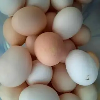 Hình ảnh Trứng gà ta luộc
