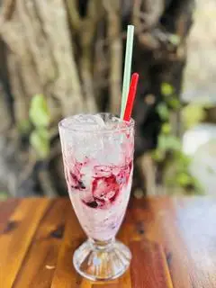 Hình ảnh Sữa chua việt quốc
