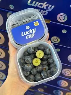 Hình ảnh 1hộp việt quất nhập khẩu