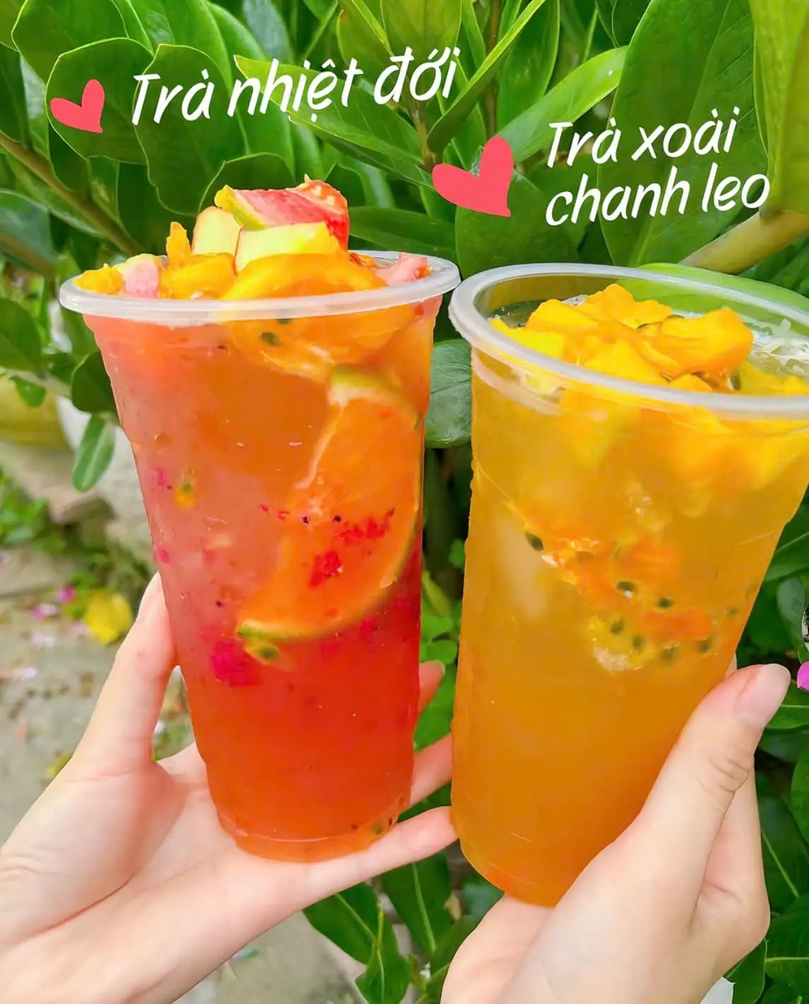 Hình ảnh Trà trái cây nhiệt đới